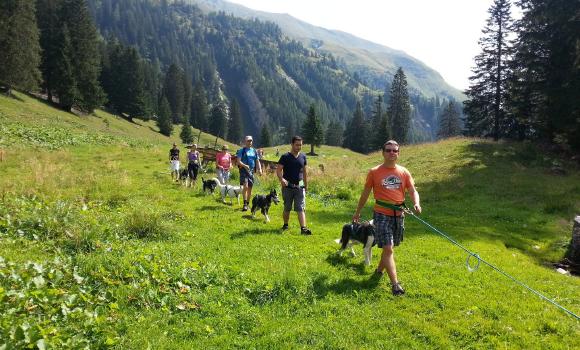 Huskystuff - escursione della durata di un giorno con cani da slitta